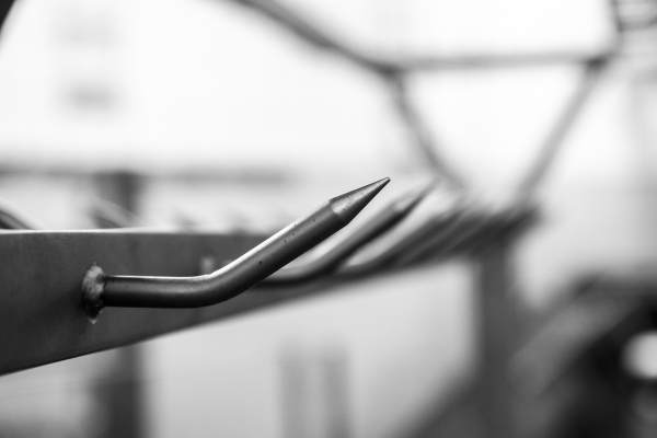 2014 02 19 Abattoir LuxeuilIMG 8704